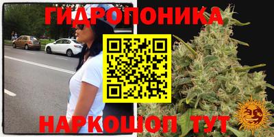 PSILOCYBIN Мариинск