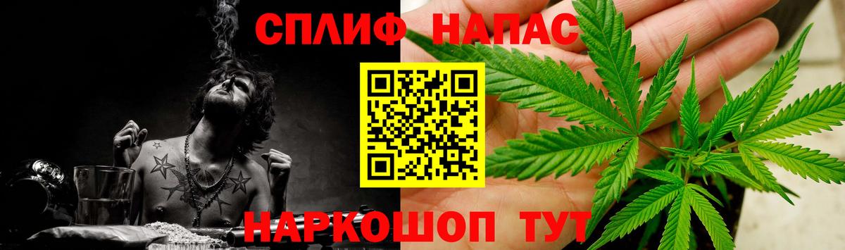 Каннабис планчик  Вход с VPN  Шишки марихуана SATIVA & INDICA  Сланцы 